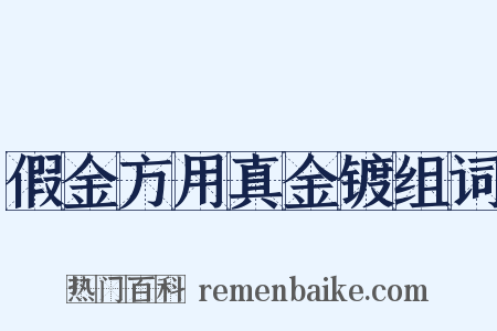假金方用真金镀组词是什么意思的图片
